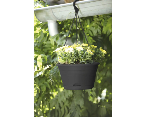 Hängeampel mit gelben Blumen, befestigt an einer Dachrinne