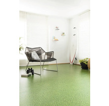 Wohnraum mit grünem Bodenbelag, Stuhl und Surfbrett