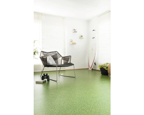 Wohnraum mit grünem Bodenbelag, Stuhl und Surfbrett