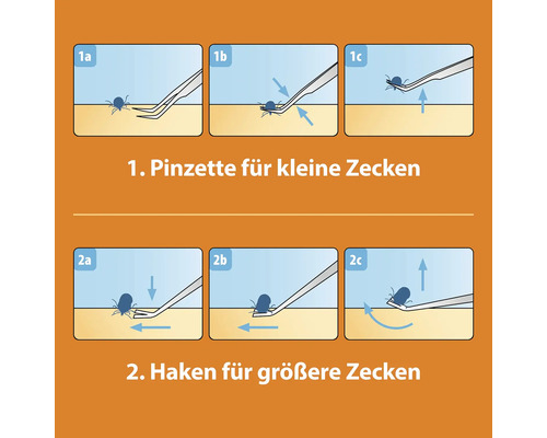 Illustration der Zeckenentfernung mit Pinzette für kleine Zecken und Haken für größere Zecken