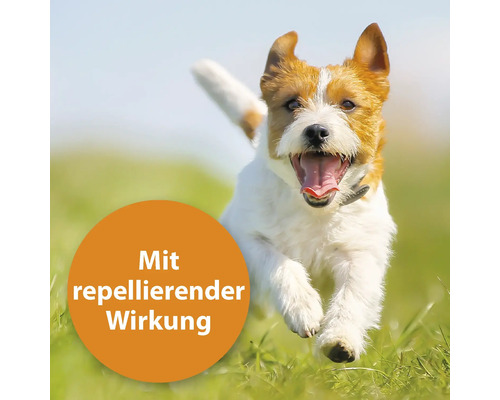 Laufender Hund mit dem Text: Mit repellierender Wirkung