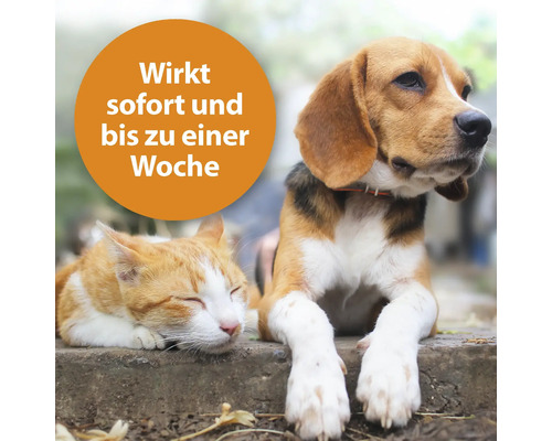 Katze schläft neben Hund, Textfeld mit Aufschrift: Wirkt sofort und bis zu einer Woche.