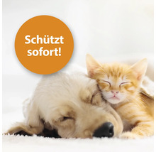 Hund und Katze schlafen. Aufkleber: Schützt sofort!