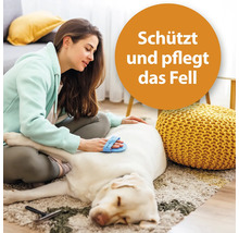 Frau bürstet Hundefell auf einem Teppich, mit einem Textkreis der Aufschrift: Schützt und pflegt das Fell