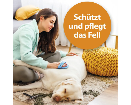 Frau bürstet Hundefell auf einem Teppich, mit einem Textkreis der Aufschrift: Schützt und pflegt das Fell
