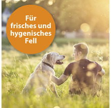 Mann und Labrador sitzen in einer Wiese, Text: Für frisches und hygienisches Fell