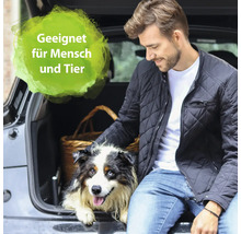 Mann mit Hund und Korb im Kofferraum eines Autos. Geeignet für Mensch und Tier.