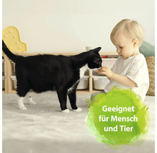 Ein Kind füttert eine Katze in einem hellen Raum mit Möbeln zur Aufbewahrung.