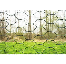 Nahaufnahme von Sechseckgeflecht im Garten