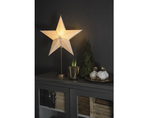 Dekorative Szene mit beleuchtetem Stern, Zwiebelpflanzen und kleinem Tannenbaum auf einem Schrank