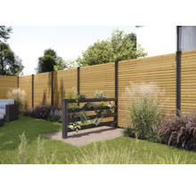 Gartenszene mit Holzzaun und Pflanzenwand