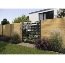 Gartenszene mit Holzzaun und bepflanztem, vertikalem Garten
