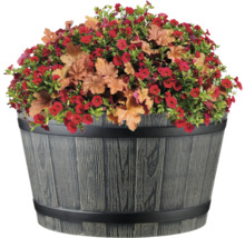 Blumenkübel mit roten Blüten und Zierblättern