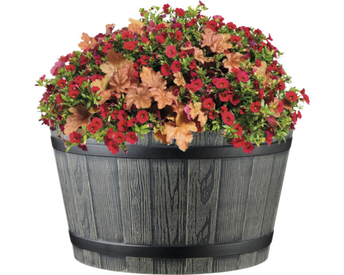 Blumenkübel mit roten Blüten und Zierblättern