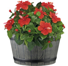 Pflanztopf Lafiora Ø 39,5 cm H 22,5 cm grau