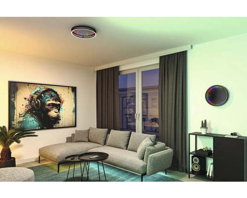 Wohnzimmer mit grauer Couchgarnitur, Couchtisch, Zimmerpflanze, Deckenleuchte und Wandbild