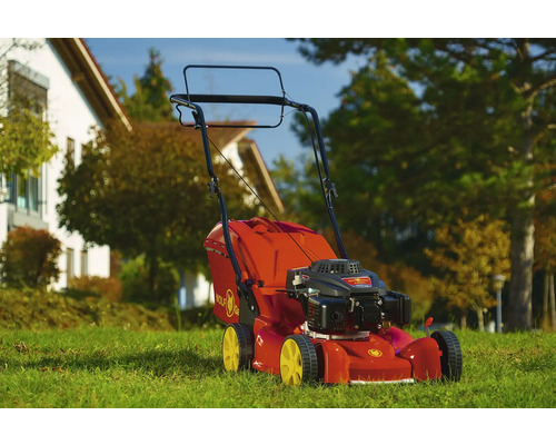 Benzinrasenmäher auf einer Rasenfläche