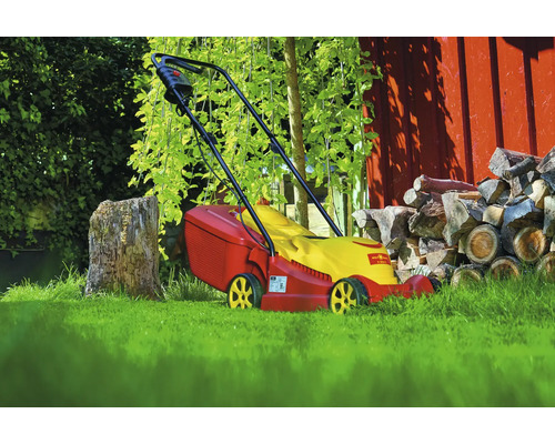 Rasenmäher im Garten