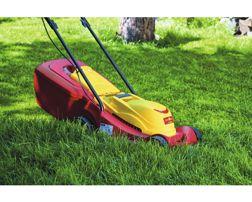 Rasentrimmer auf Rasenfläche