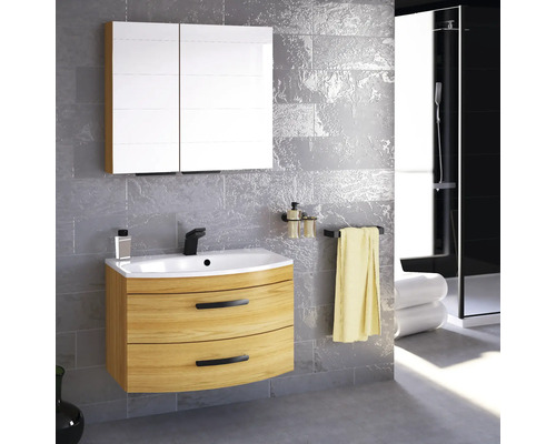 Badezimmer mit Waschtischunterschrank, Waschbecken und Spiegelschrank