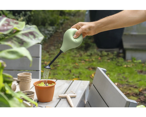Eine Person gießt mit einer Gießkanne eine Pflanze in einem Topf auf einem Tisch.