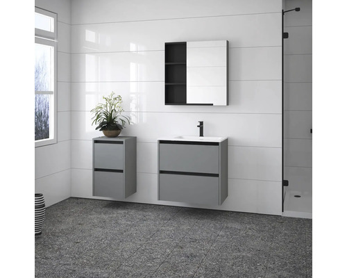 Modernes Badezimmer mit Waschbeckenunterschrank, Spiegelschrank und Pflanze