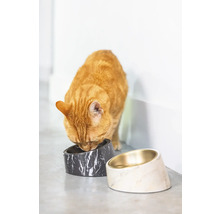 Katze frisst aus einer erhöhten Futterschale aus Marmor