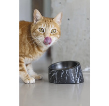Katze leckt sich die Lippen neben einem Futternapf