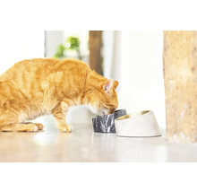 Eine rothaarige Katze frisst aus zwei Futternäpfen mit Marmoroptik.