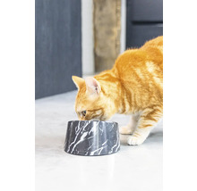 Eine orangefarbene Katze frisst aus einem Futternapf mit Marmoroptik.