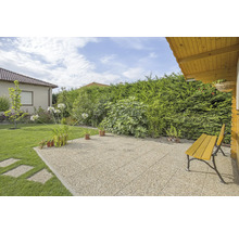 Garten mit Rasen, Pflanzen, Terrasse und Sitzbank