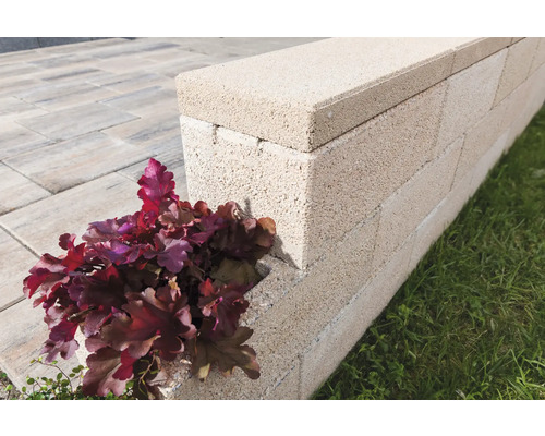 Mauer aus Betonsteinen mit Pflanze