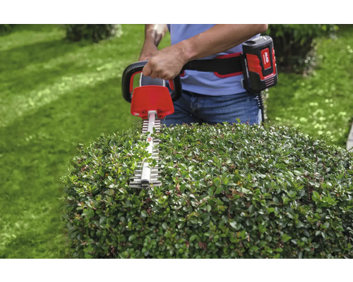 Akku-Heckenschere schneidet Hecke im Garten.
