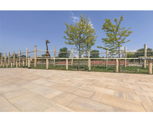 Außenbereich mit Pflastersteinen, Holzzaun und Giraffe im Hintergrund