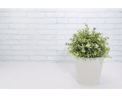 Künstliche Pflanze im Topf als Dekoration