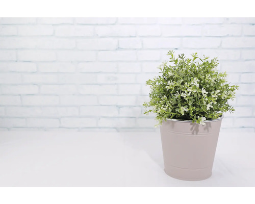 Künstliche Pflanze im Topf als Dekoration