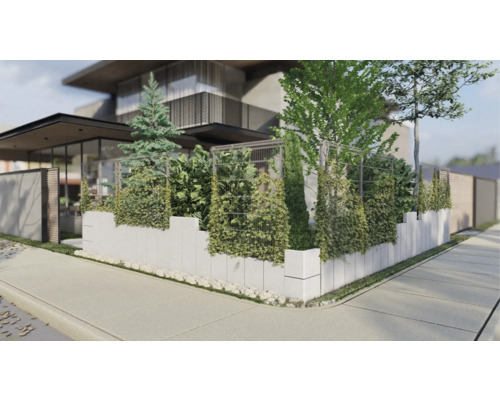 Ansicht eines Hauses mit Gartenmauer und Begrünung