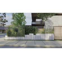Moderne Hausfassade mit Betonmauer und Grünpflanzen