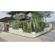 Moderne Hausfassade mit Pflanzenwand und Betonmauer zur Straßenseite.