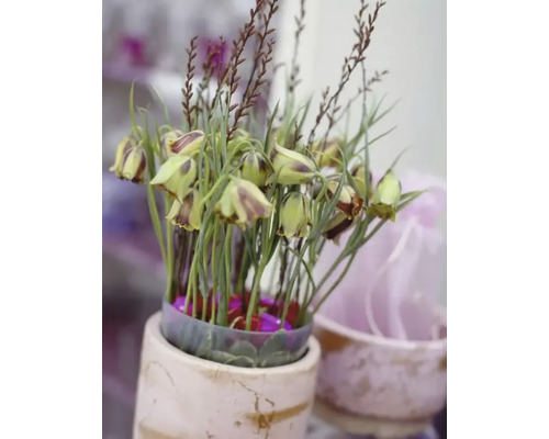 Dekorative Blumenanordnung in einem Topf
