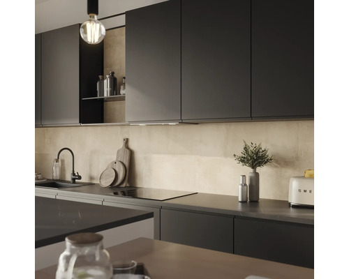 Moderne Küche mit Küchenschränken, Spüle, Armatur und Toaster