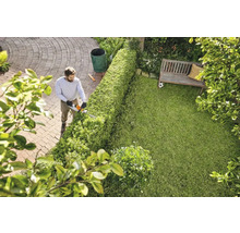 Mann schneidet Hecke mit Heckenschere im Garten.