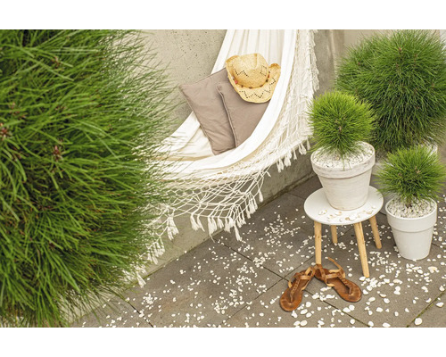 Gartenambiente mit Hängematte, Kissen, Hut, Pflanzen im Topf, Beistelltisch und Sandalen