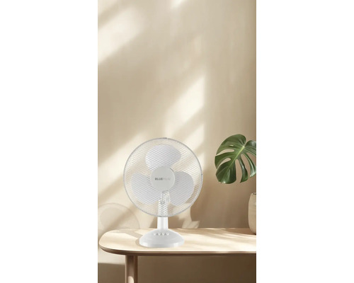 Weißer Blue Palm Tischventilator auf einem Tisch