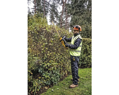 Eine Person schneidet eine Hecke mit einer Heckenschere im Garten.