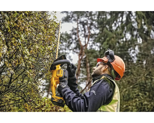 Mann mit DeWalt Akku-Heckenschere beim Heckenschneiden