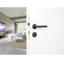 Tür mit schwarzem Türdrücker in modernem Wohnraum