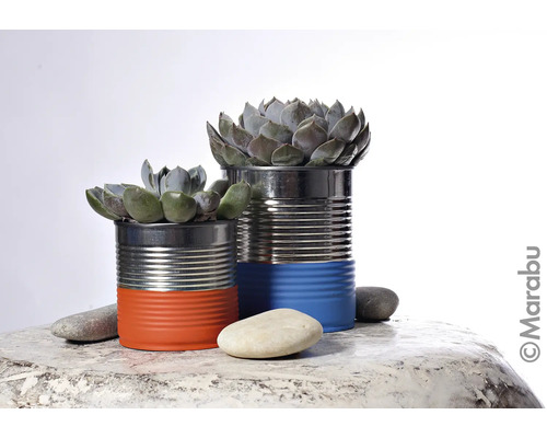 Zwei bepflanzte Konservendosen mit Sukkulenten und Steinen auf einer Tischplatte.