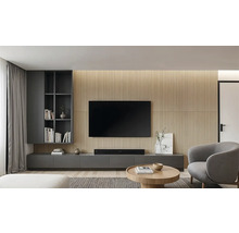 Wohnzimmer mit Fernseher, Regalen und Sitzmöbeln