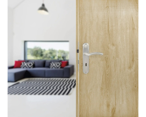 Helle Holztür mit silberfarbenem Türgriff und Blick auf einen Wohnbereich.